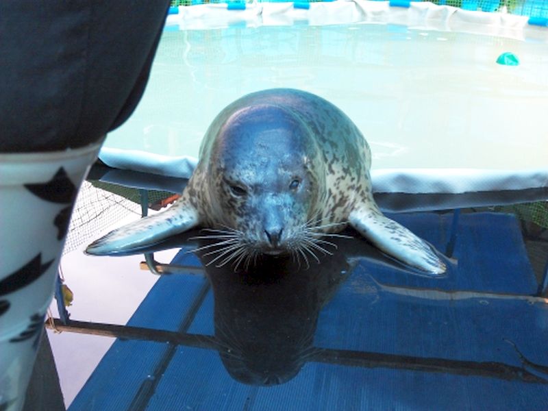 Первое кормление Буси в новом доме