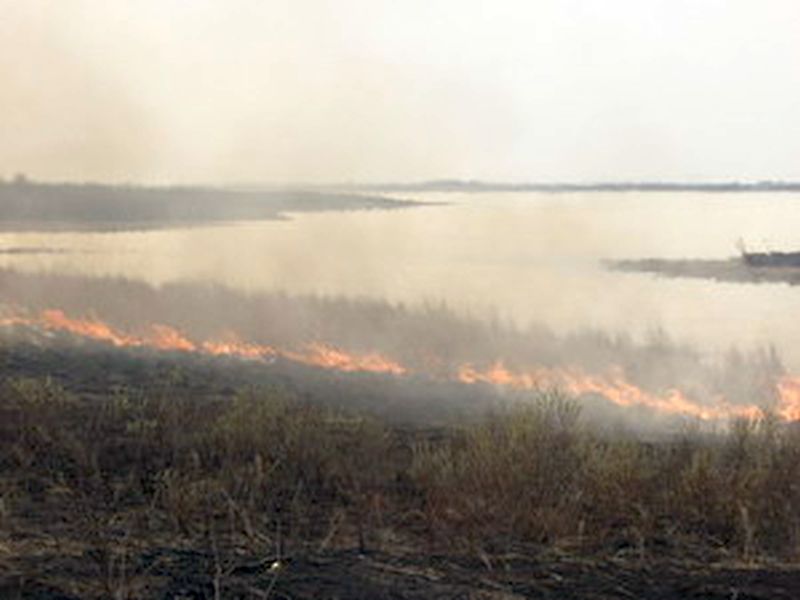 Горит Болоньский заповедник в Хабаровском крае, а чиновникам и дела нет