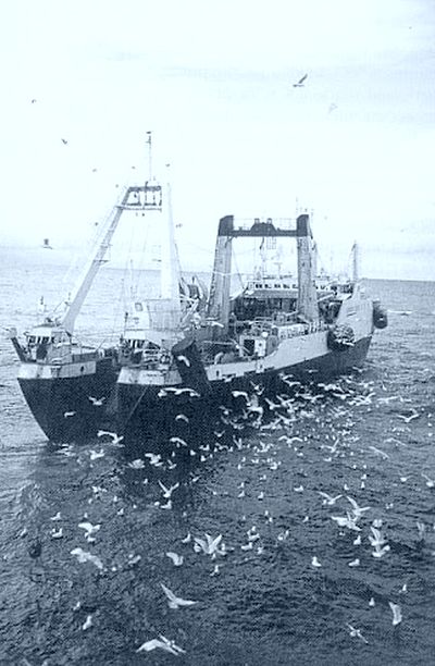 СТР «Чапаево», принадлежит ОАО «Северо-Курильская база сейнерного флота» («СК БСФ»)