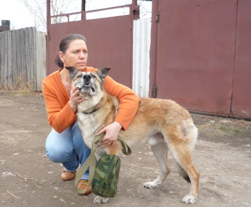 Реанимированная Еленой Асташовой жертва после обстрела свинцом лишилась лапы