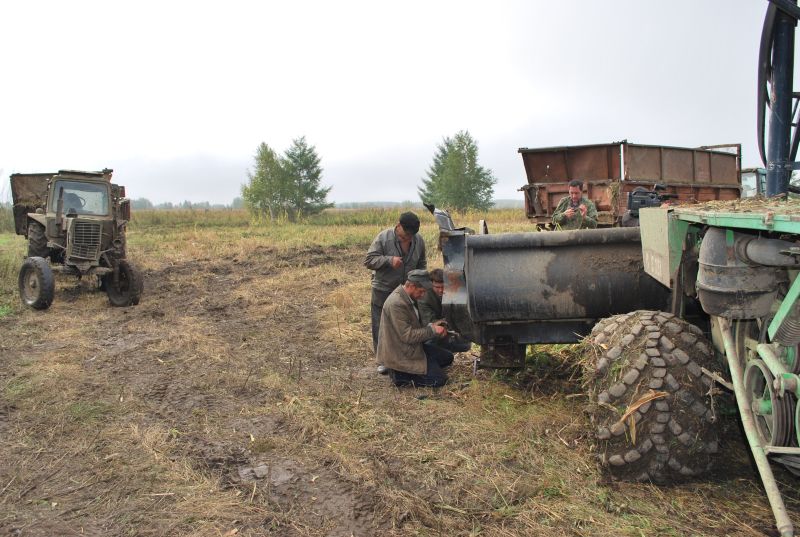 Беспрерывные циклоны, накрывшие Хабаровский край в разгар заготовки кормов для животноводства, не помешали крестьянско-фермерскому хозяйству Амурского района (КФХ «Королев О. А.») подготовиться к предстоящей зиме.