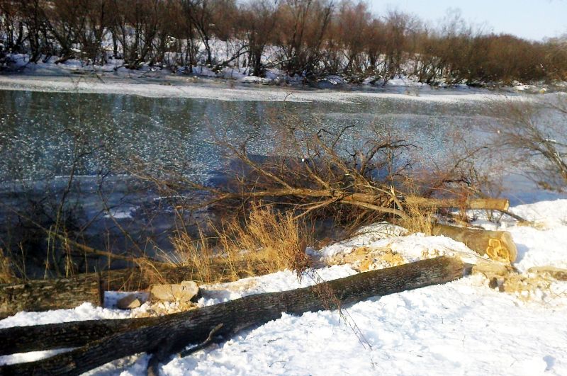 «Лесорубы» быстро свернули работу