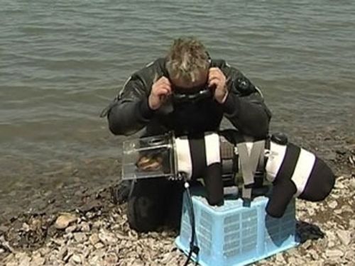 Приморский дайвер Сергей Горбунов и его пес Бонифаций воплотили мечту американских мальчишек 1970-х годов